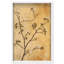 Oliver Gal Nature's Grace Floral & Botanical - Luxury Shadowbox Framed Wall Art-1989061265-1989061270