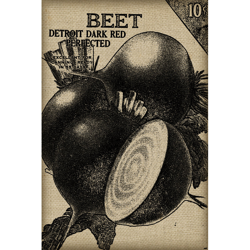 Vintage Seed Pack III - Wrapped Canvas Art Prints, 46cm H x 30cm W x 3.8cm D