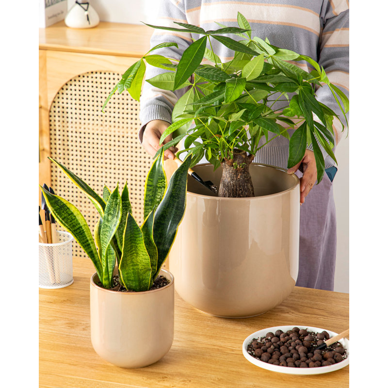 Ceramic Pot Planter, Brown