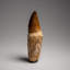 Genuine Mosasaur Tooth With Root From Morocco (115 Grams)