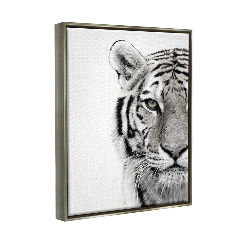 Tigre blanc, gros plan, photographie sur toile en noir et blanc par Design Fabrikken, L 25 po x H 31 po