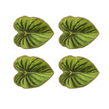 Tropicana Coasters with Gift Box