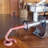 Weston Pro Series Electric Food Preparation Tool