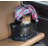View 360 Pet Polyester Carrier