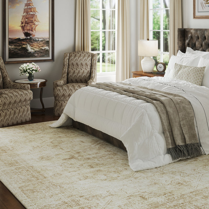 Washable Area Rug Soft Accent Carpet Vintage Inspired Distressed Low Pile for Living Room Dining Room Bedroom Den