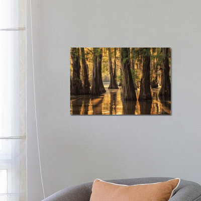Natural Beauty by Martin Podt - Wrapped Canvas Print