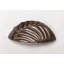 Tropical Cup / Bin Pull-14973054