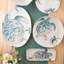 Tartaruga Terra Bianca Decorative Tray
