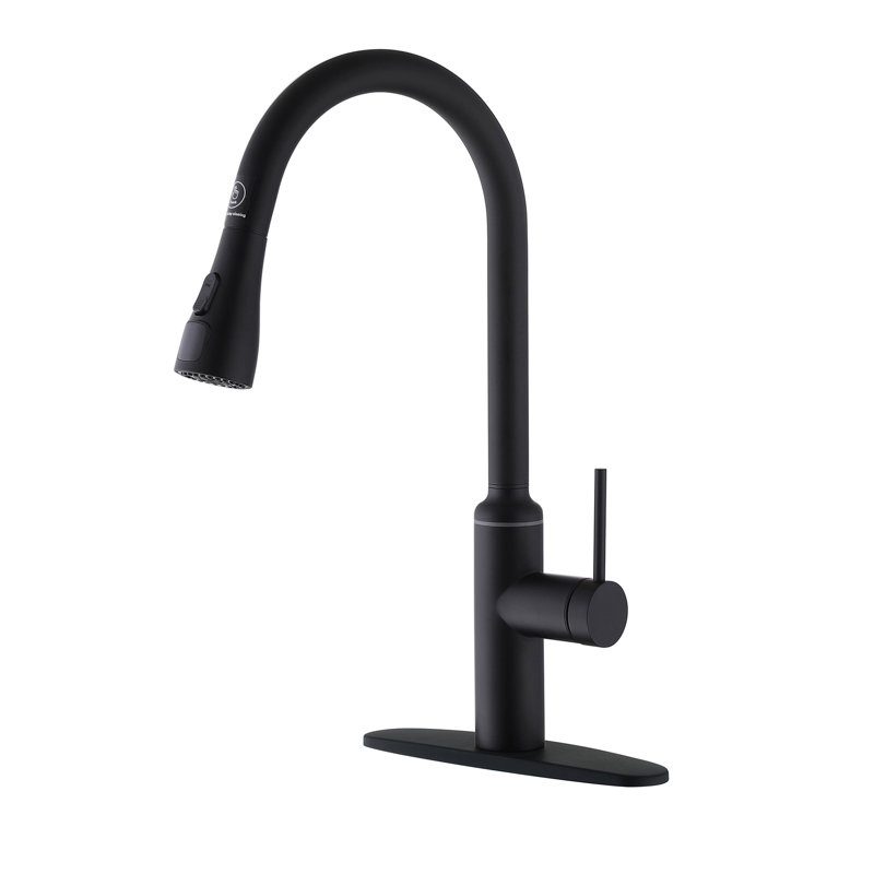 Robinet de cuisine à poignée simple 19,69 po 304, Noir mat