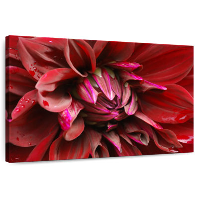 Harnek Red Dahlia Flower