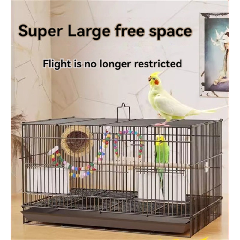 Cage à oiseaux Gerdina, H 11 po x l 15 po x P 11 po