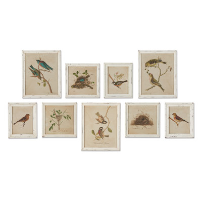 Aviary Bird and Nest Habitat Prints, Set of 9