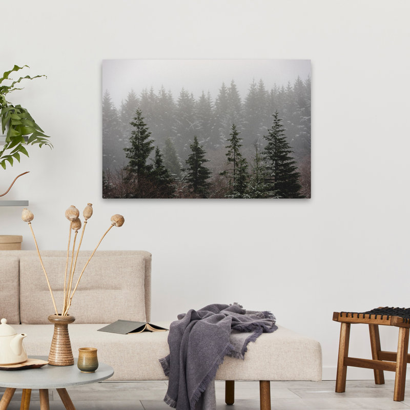 Forêt brumeuse, neige, paysage, arbre, forêt, photographie, brume, art contemporain, H 36 po x l 24 po