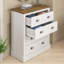 Sufy Octave 4 Drawer Chest of Drawers-1481120365