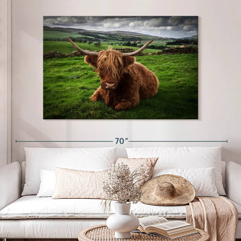 Brampt Mellow Highland Cow, 34" H x 51" W