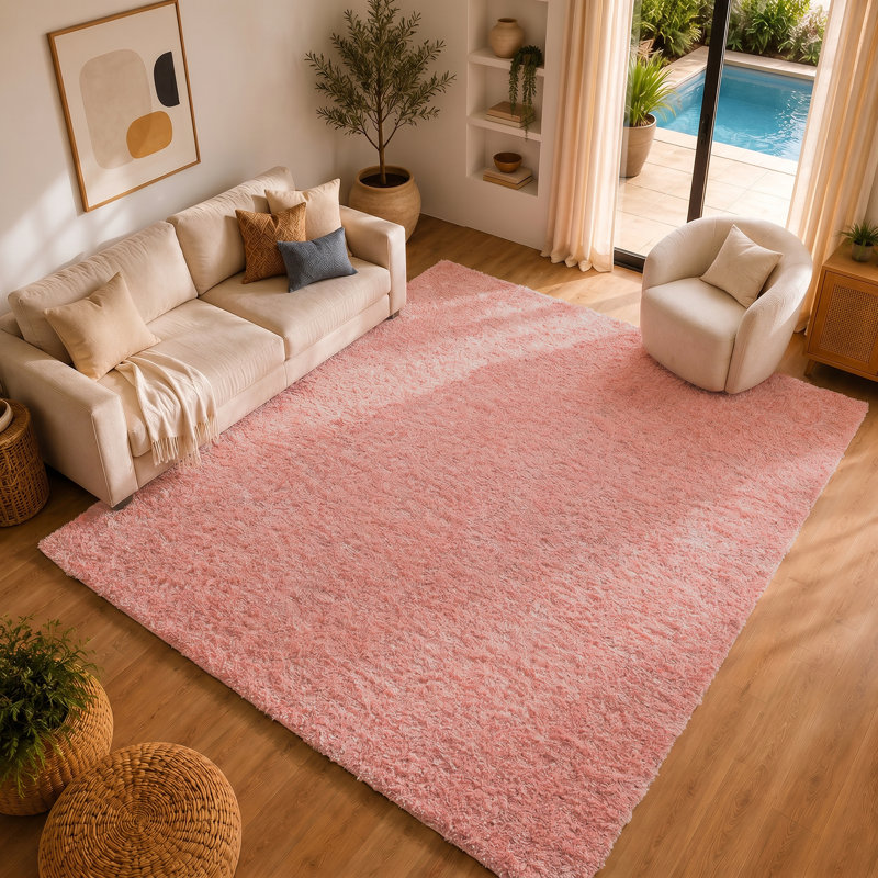 Aunaleigh Solid Colour Shag Area Rug, Rectangle 160 x 213cm