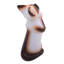 Figurine de souhaits pour chat siamois Andren
