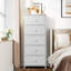 Ojaswi 5 Drawer 45.7Cm W Chest-1347794191