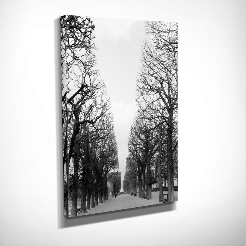 « french avenue » par danita delimont reproduction, reproduction de photo sur toile tendue encadrée
