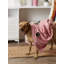 Tapis pour animaux Holdaw Rose Paw-723785047