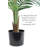 Faux Palm Tree in Pot Liner-1582283656-1582283659