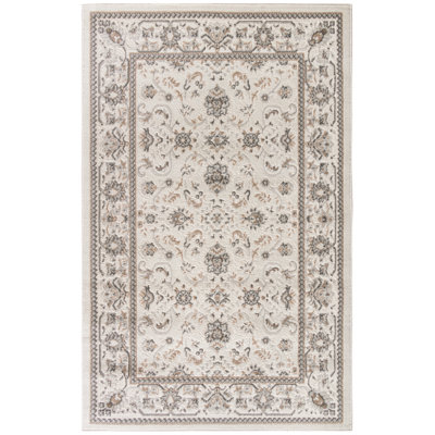 Oriental Indoor Rug