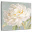 Pivoine de jardin Harnek neutre-109205885
