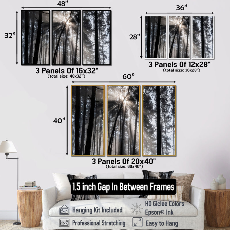 Rayons de soleil à travers la forêt blanche noire - ensemble d'art mural sur toile encadré forêt, H 32 po x l 48 po, Brown