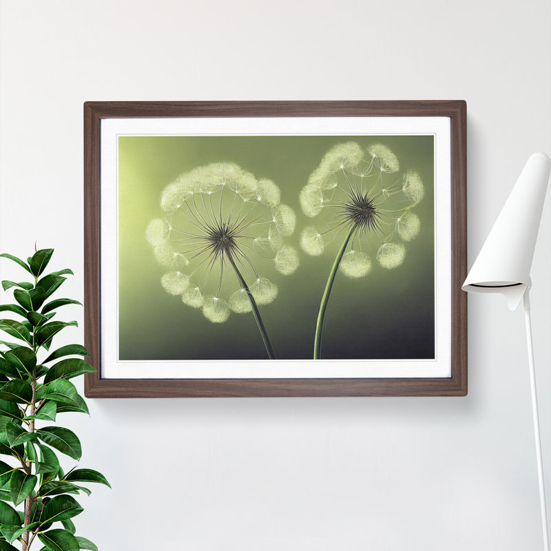 Soulful Dandelion Flowers - Framed Print, 34cm H x 46cm W x 2cm D, Walnut