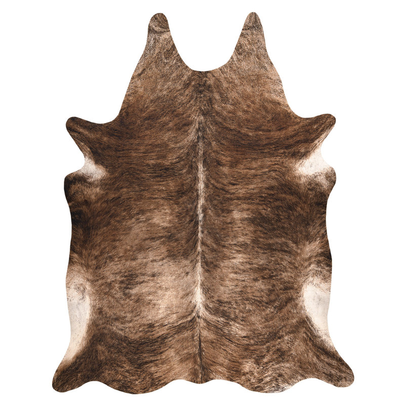 Sonderform Van Winkle Tierdruck Area Rug, Novelty 155 x 195cm