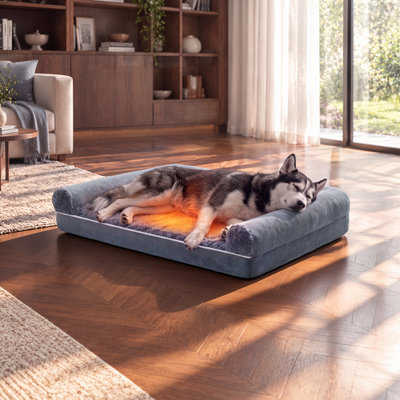 Housse lavable toutes saisons pour chien de grande taille, gris, très grand