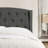 Upholstered Wingback Platform Bed, Bed Frame with Nailhead Trimmed Wingback and Button-Tufted-1142320463-1142320464