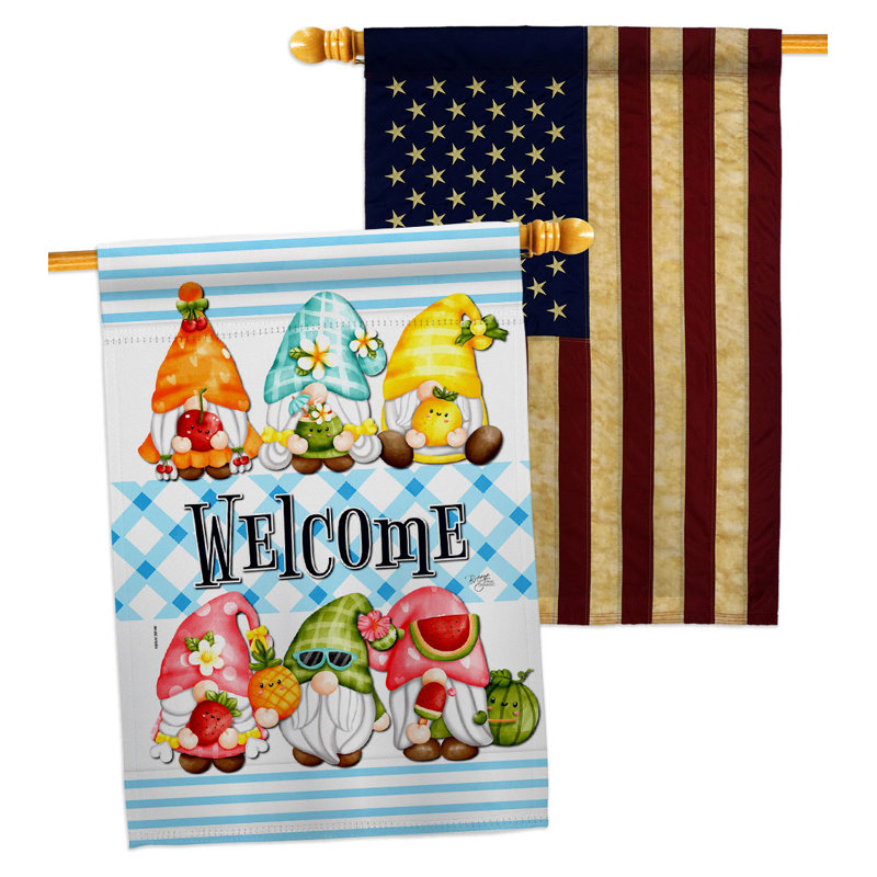 Drapeaux 40 x 28 pi