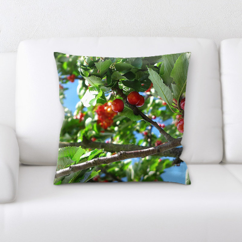 Coussin cerise
