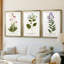 Nature Printed Botanicals V - reproduction sur mesure encadrée de qualité supérieure - 3 pièces-506778575-506778574