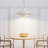 Chenise 1 - Light Modern Single Pendant
