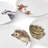 10.5" Coupe Plates, Set of 4 (Assorted)