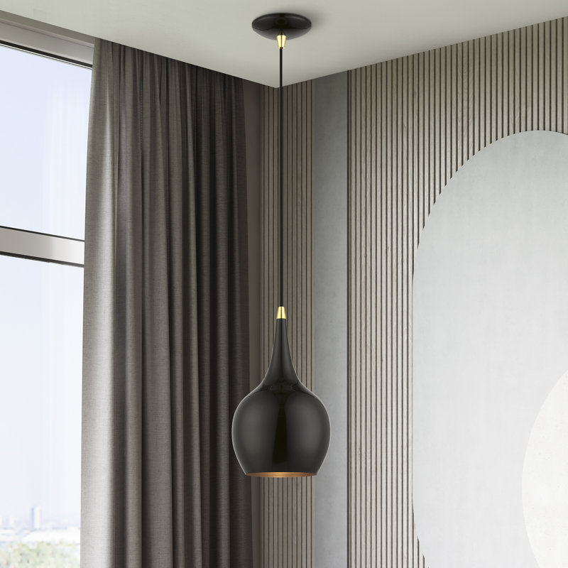 Tanna 1-Light Hardwired Steel Pendant, Shiny Black, Shiny Black