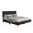 Jineane Upholstered Panel Bed-1264225544-1264225598