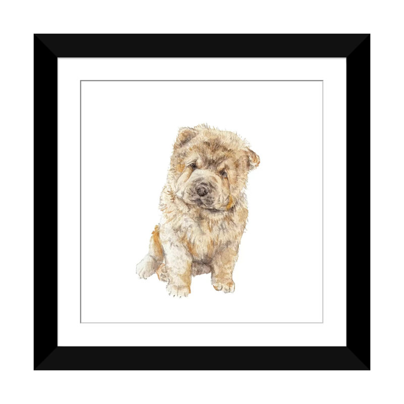 Chow chow, H 16 po x l 16 po x P 1 po, Papier d'art encadré noir, Blanc