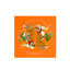 Tiger Seeing Double Orangerie Acrylic Candy Catchall Dish-139016191