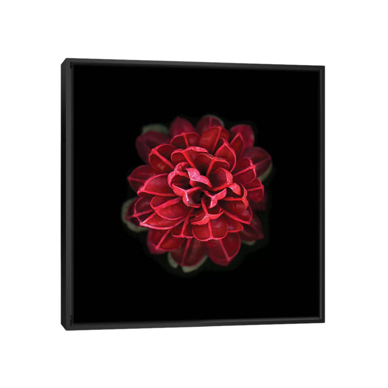 «In Red», impression sur toile, H 18 po x l 18 po x P 1,5 po, Toile avec cadre noir