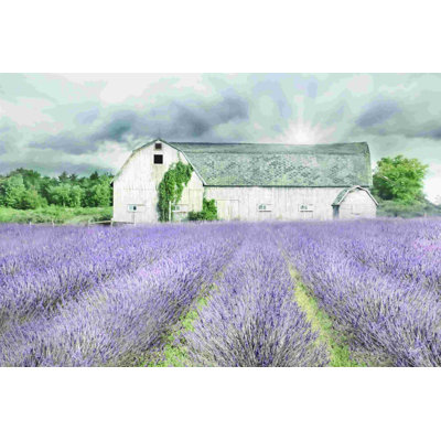 Nuances de lavande et de gris