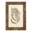 Meggan Sepia Ferns III, reproduction d'art encadrée-1347576303-1347575829