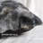 Abstract Faux Fur Pillow Cover