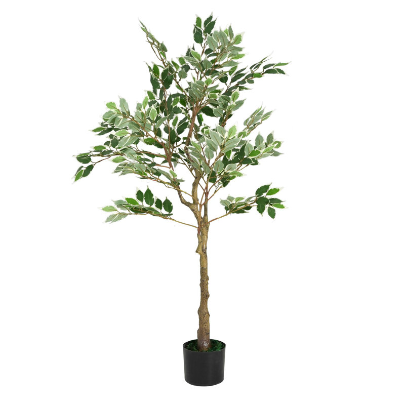 Ficus artificiel 51 po avec pot