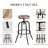 Laxton Adjustable Height Counter Stools for Kitchen Island with Metal Frame-420687948