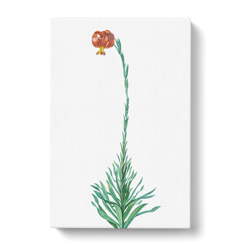 Martagon Lily by Pierre-Joseph Redoute - Wrapped Canvas Print, 60cm H x 40cm W x 3cm D