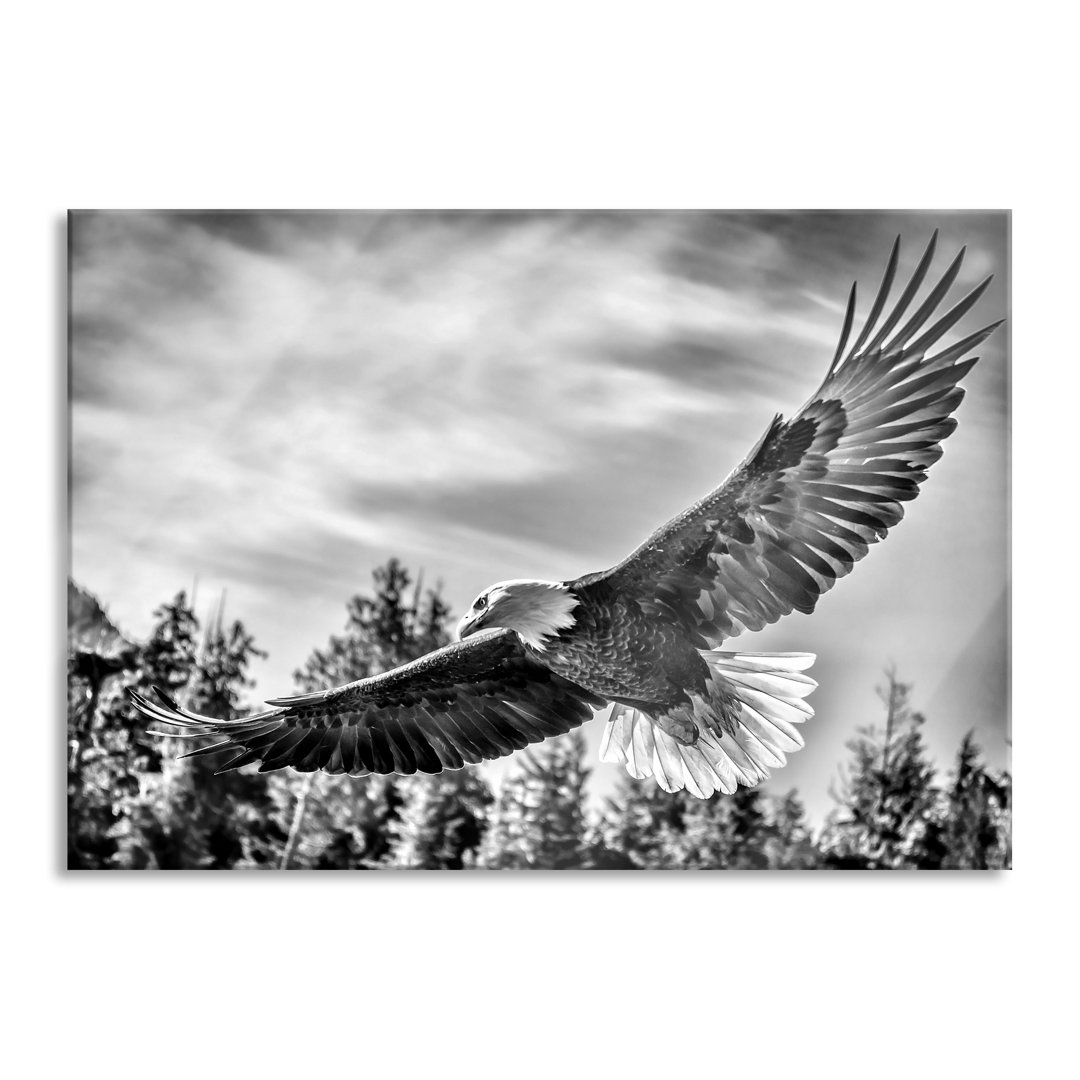 Glasbild Adler