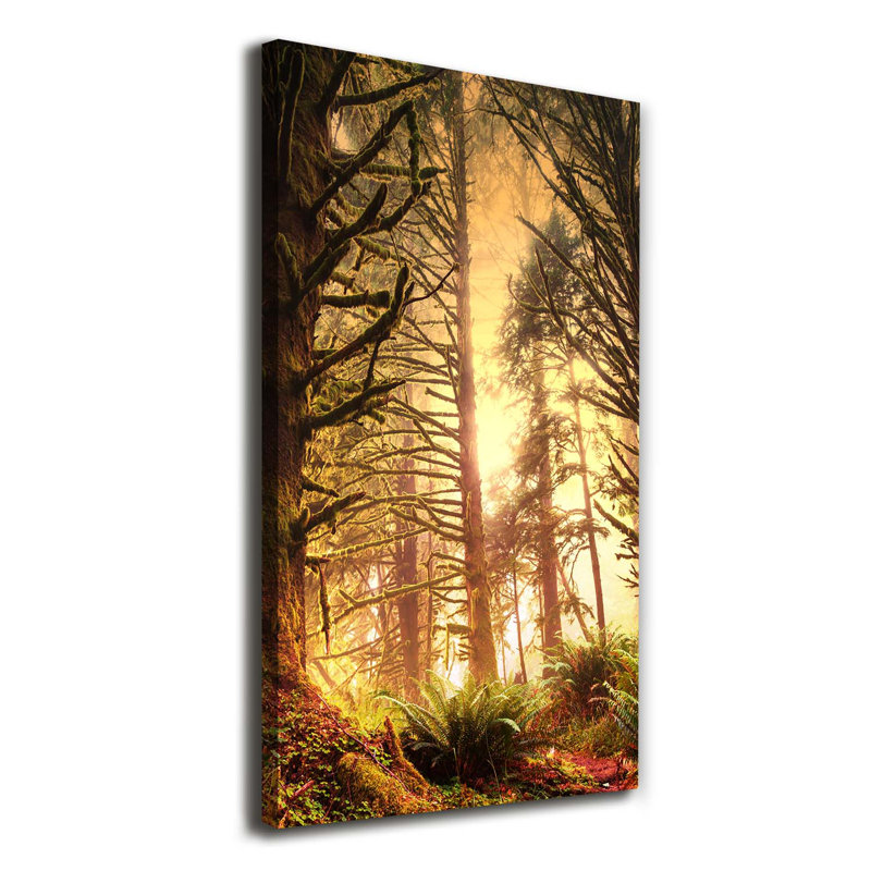 The Rainforest - Wrapped Canvas Print